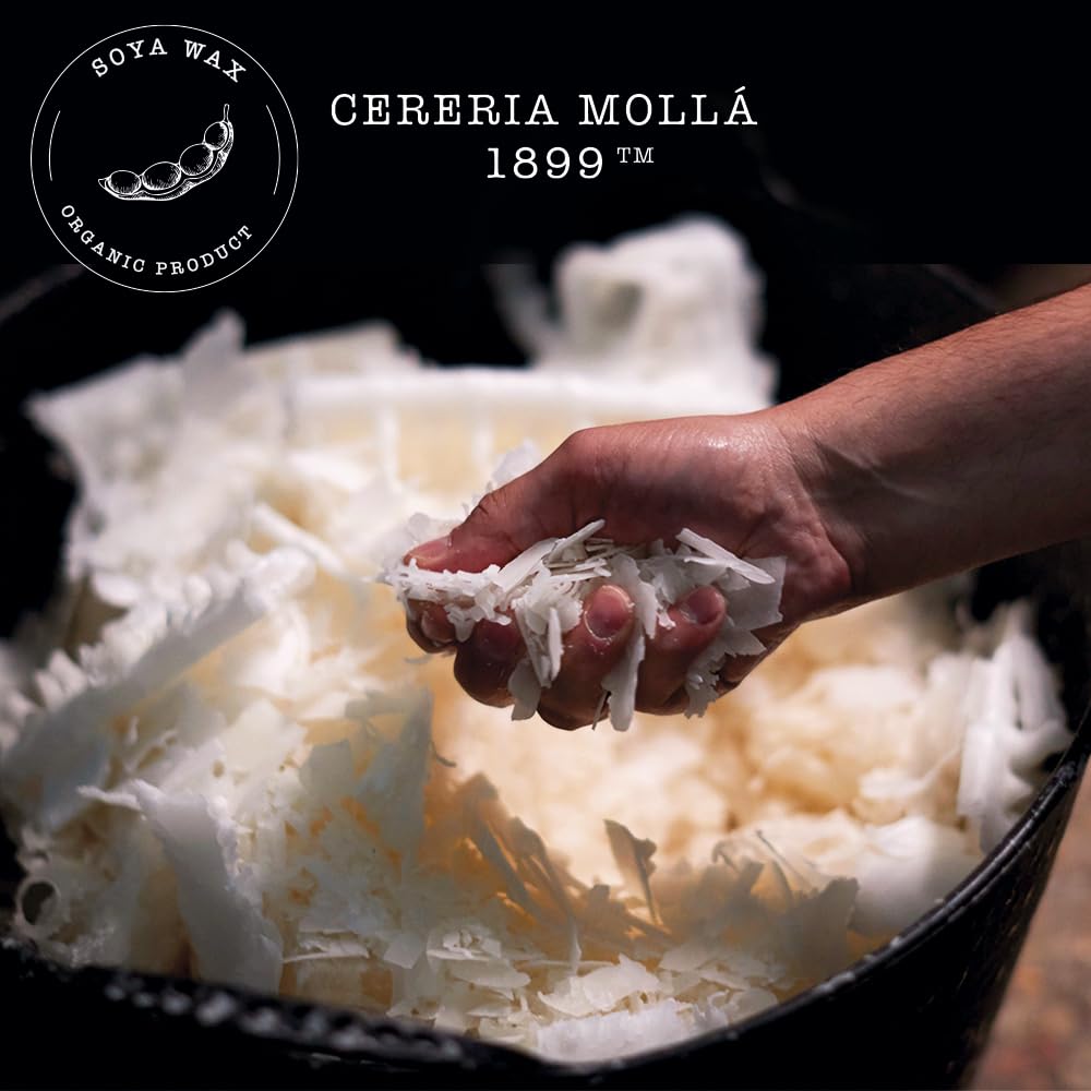 CERERA MOLLA 1899 | Mini Mediterranean Blue Aromatic Candle | 20 Hour Burn Time | Natural Fragrance | Recyclable Packaging | Artisan Candle
