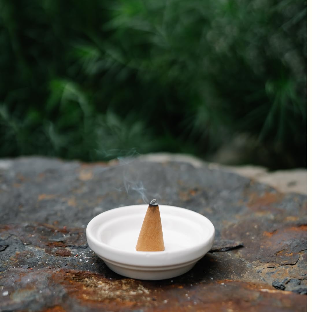 Bless International Coconut 100%-Natural-Incense-Cones Handmade-Hand-Dipped Organic-Chemicals-Free for-Purification-Relaxation-Positivity-Yoga-Meditation The-Best-scents (60 Count)