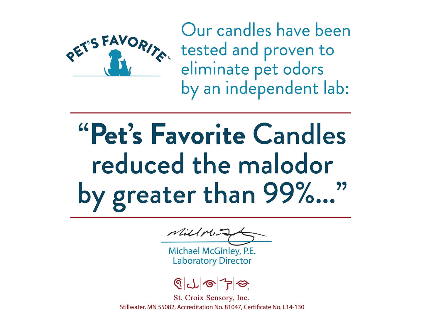 Pet's Favorite Air Freshener Candles, Clean Burning Pet Friendly Candles with a Natural Fiber Wick and 70 Hour Burn Time, Pumpkin Spice Pack of 1