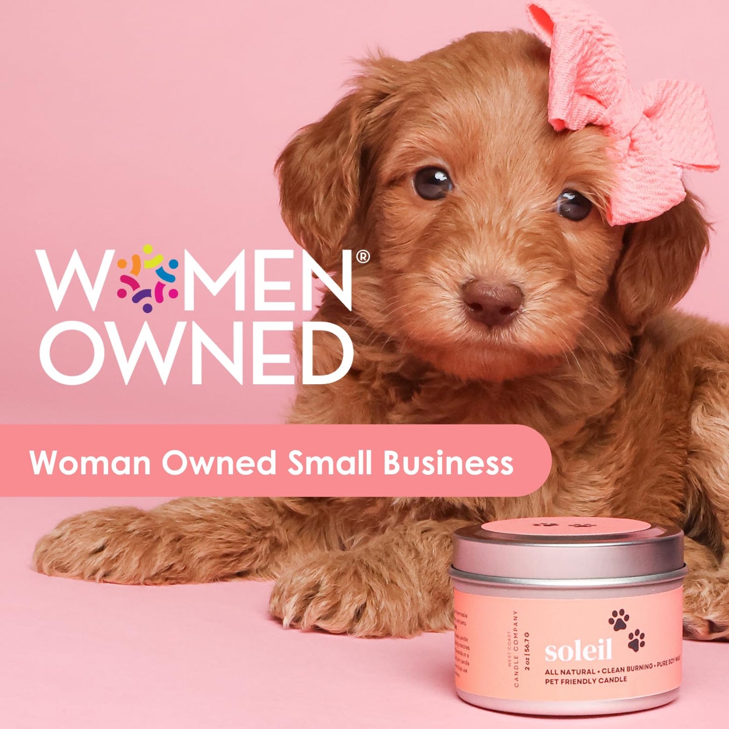 Pet Safe Candle for Dogs | Non Toxic Coconut Apricot Wax Candle | Clean Burning, Paraffin-Free | Pet Odor Eliminating Home Fragrance | Falling Leaves | 4 oz