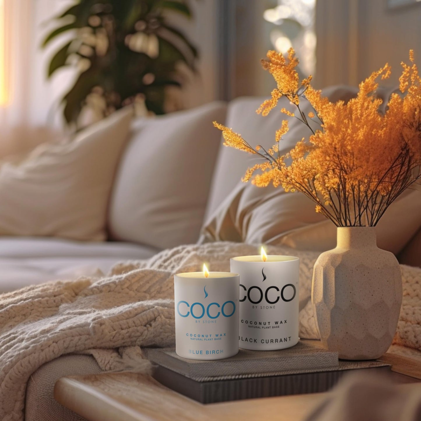 COCO by Stone 11oz Candle, Coconut Apricot Wax Candle for Home (Black Currant) Home Fragrance Products, 1 Wick Candle, Enhance Indoor Aroma, Vegan & Cruelty-Free, Clean Burning and Hand Poured Candle