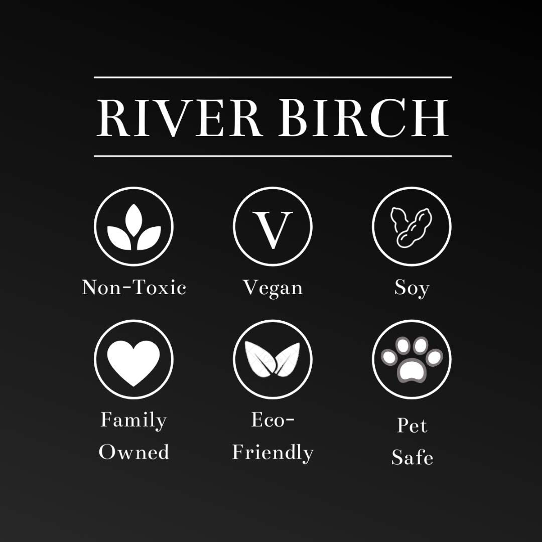 River Birch Candles Apple Scented Candle | Premium, All-Natural, Non-Toxic, Soy Candles | 8 oz. Matte Black Tin Travel Candle