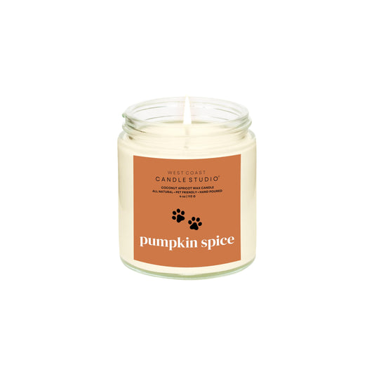 Pet Safe Candle for Dogs | Non Toxic Coconut Apricot Wax Candle | Clean Burning, Paraffin-Free | Pet Odor Eliminating Home Fragrance | Pumpkin Spice | 4 oz