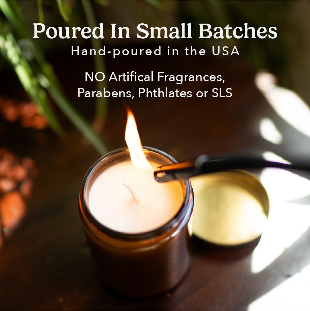 PACHA SOAP Co. Sand & Sea Candle, 7 oz - Scents of Clary Sage, Sandalwood and Rockrose - Clean Burning, Soy, Coconut & Apricot Wax, Lead-Free Wick, Cruelty-Free, Recyclable