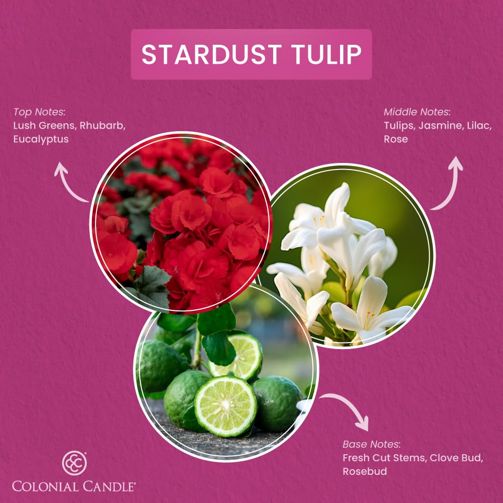 Colonial Candle Stardust Tulip Scented Jar Candle, Pop of Color Collection, 3 Wick, 14.5 oz - Up to 60 Hours Burn
