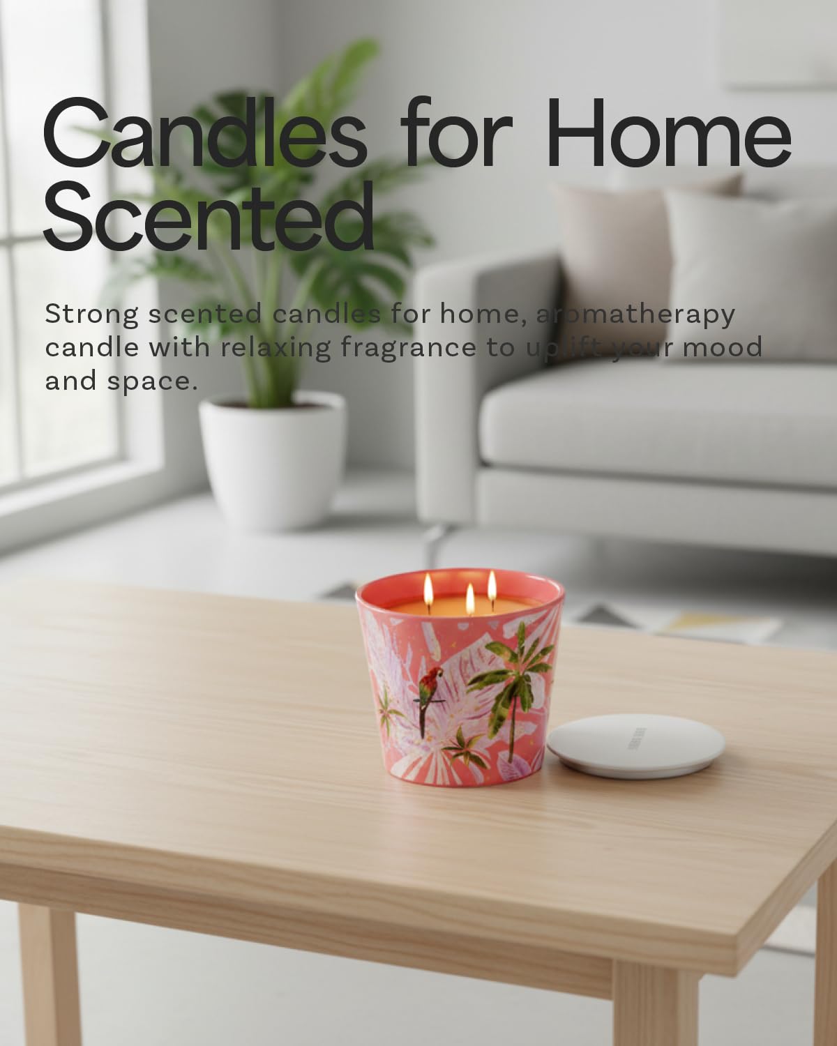 Sangria Sunshine Scented Candle, 30oz Natural Soy Wax Non Toxic, Large 3-Wick Luxury Aromatherapy Candle for Home | 100+ Hour Slow-Burn for Home Decor, Stress Relief, SPA