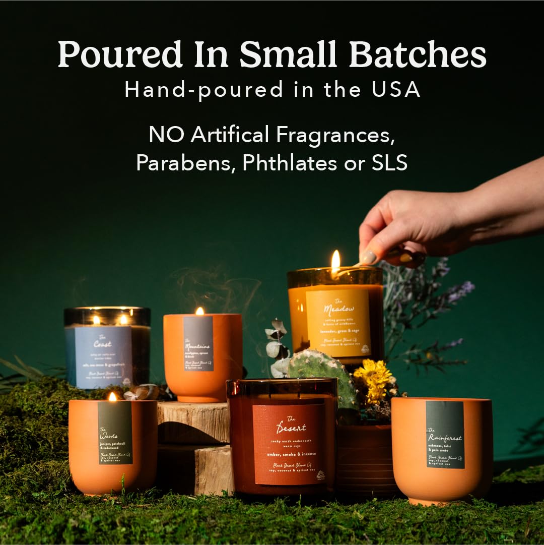 PACHA SOAP Co. Origins & Elements Candle Collection, The Meadow, 12 oz - Scents of Lavender, Grass, and Sage - Clean Burning, Soy, Coconut & Apricot Wax, Lead-Free Wick, Cruelty-Free, Recyclable