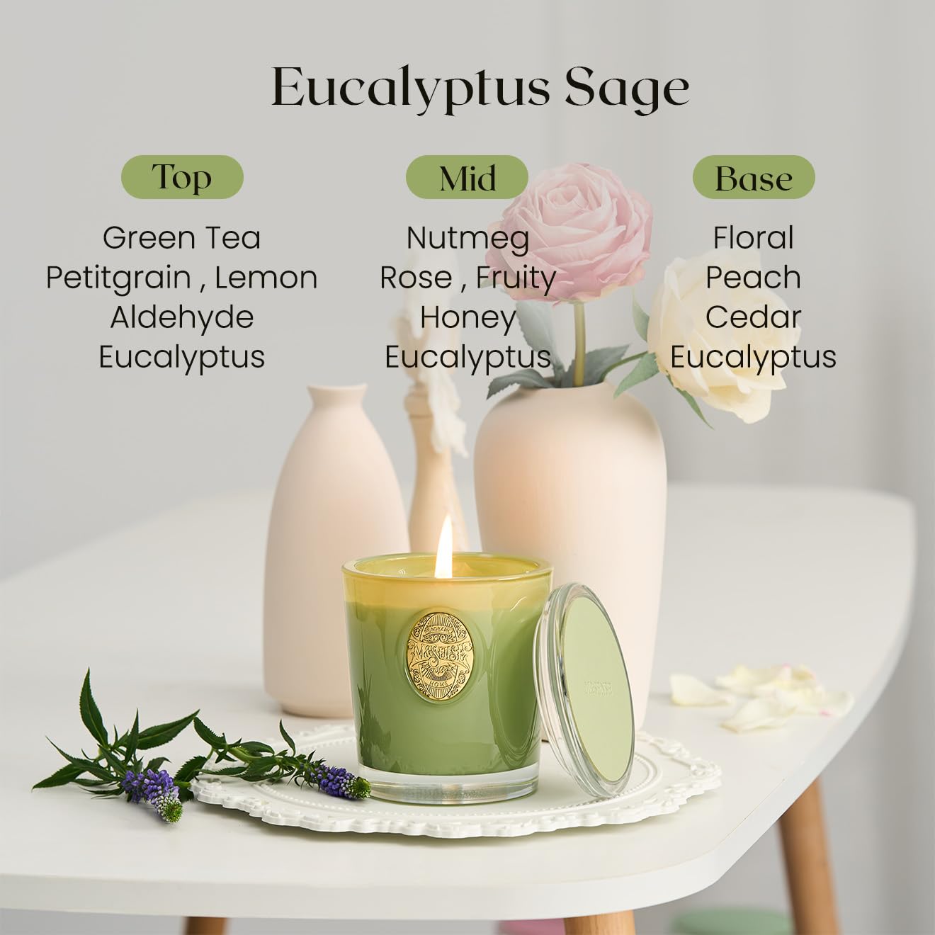 M&SENSE Natural Soy Candle| Eucalyptus Sage Green | 10.2 oz, 55H Burn | Luxury Scented Candle for Relaxation, Gifting, Home Décor |for Bedroom, Office, Party