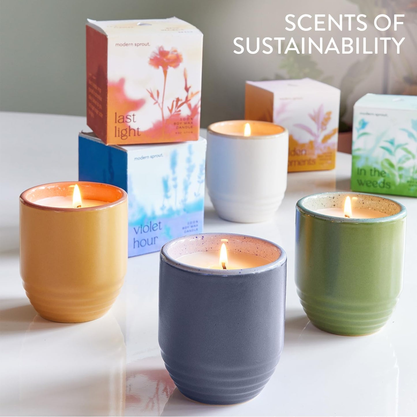 Modern Sprout - 2-in-1 Soy Candle & Planter - 3-Pack Indoor Set (Violet Hour, in The Weeds, Golden Moments) 6 Oz Scented Candles with Lavender, Sage & Mint Seeds – 38–40 Hr Burn Each