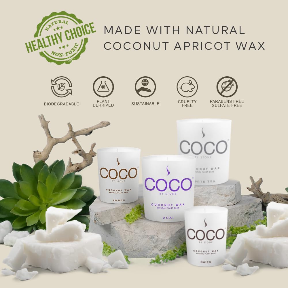 COCO by Stone 11oz Candle, Coconut Apricot Wax Candle for Home (Black Currant) Home Fragrance Products, 1 Wick Candle, Enhance Indoor Aroma, Vegan & Cruelty-Free, Clean Burning and Hand Poured Candle