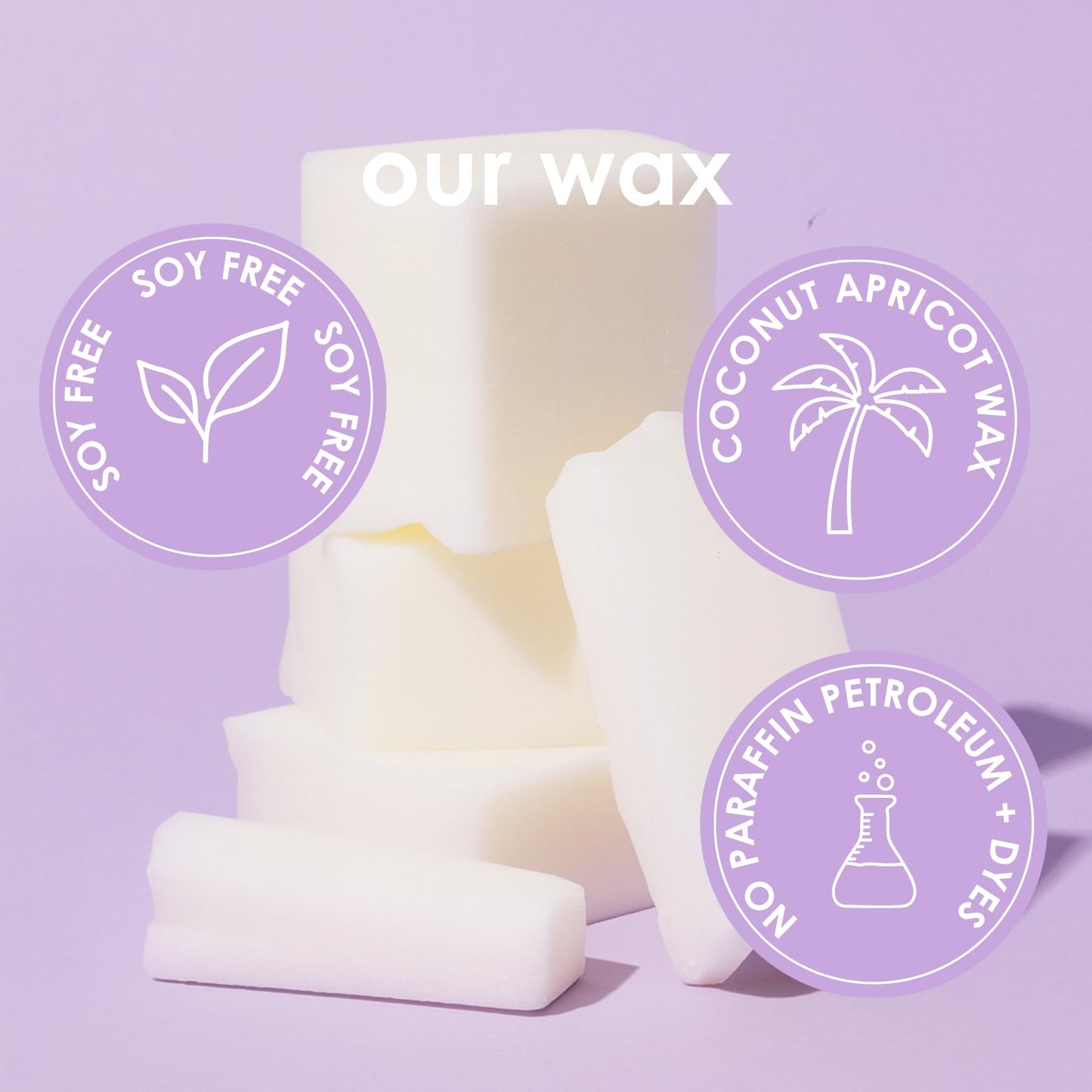 Pet Safe Candle for Dogs | Non Toxic Coconut Apricot Wax Candle | Clean Burning, Paraffin-Free | Pet Odor Eliminating Home Fragrance | Walk in the Woods | 4 oz