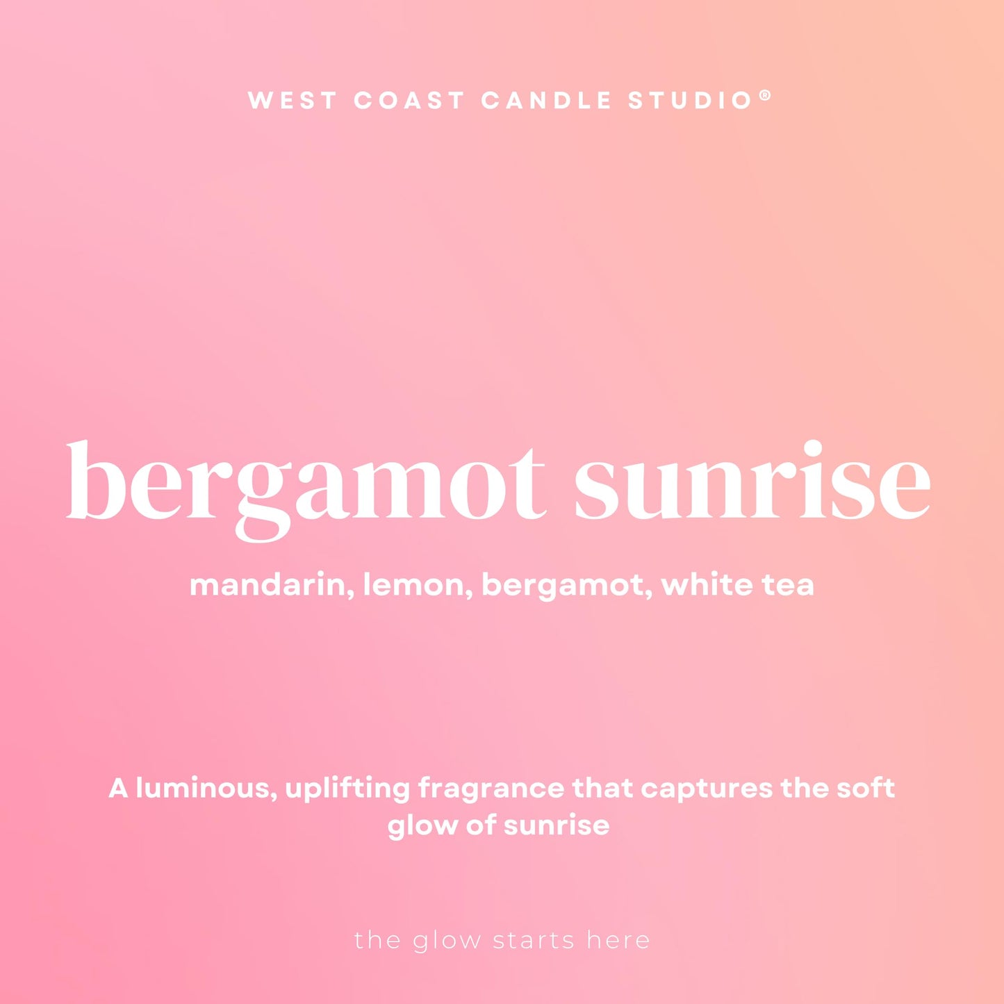 Pet Safe Candle for Dogs | Non Toxic Coconut Apricot Wax Candle | Clean Burning, Paraffin-Free | Pet Odor Eliminating Home Fragrance | 9 oz (Bergamot Sunrise)