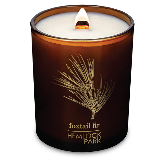 Hemlock Park Foxtail Fir Amber & Gold Hand-Poured Scented Candle | Crackling Wood Wick, Botanical Fragrance & Coconut Wax | Up to 60 Hour Burn Time | 7.2 oz