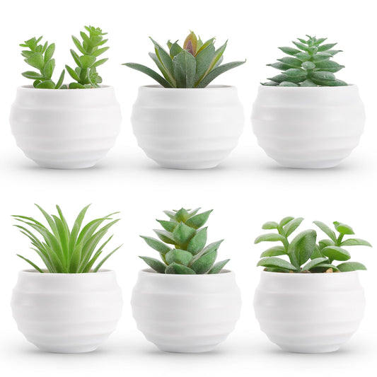 Der Rose Set of 6 Succulents Plants Artificial in Pots Small Fake Plants Graduation Gifts for Bedroom Aesthetic Living Room Shelf Bathroom Decor Office Desk Accessories