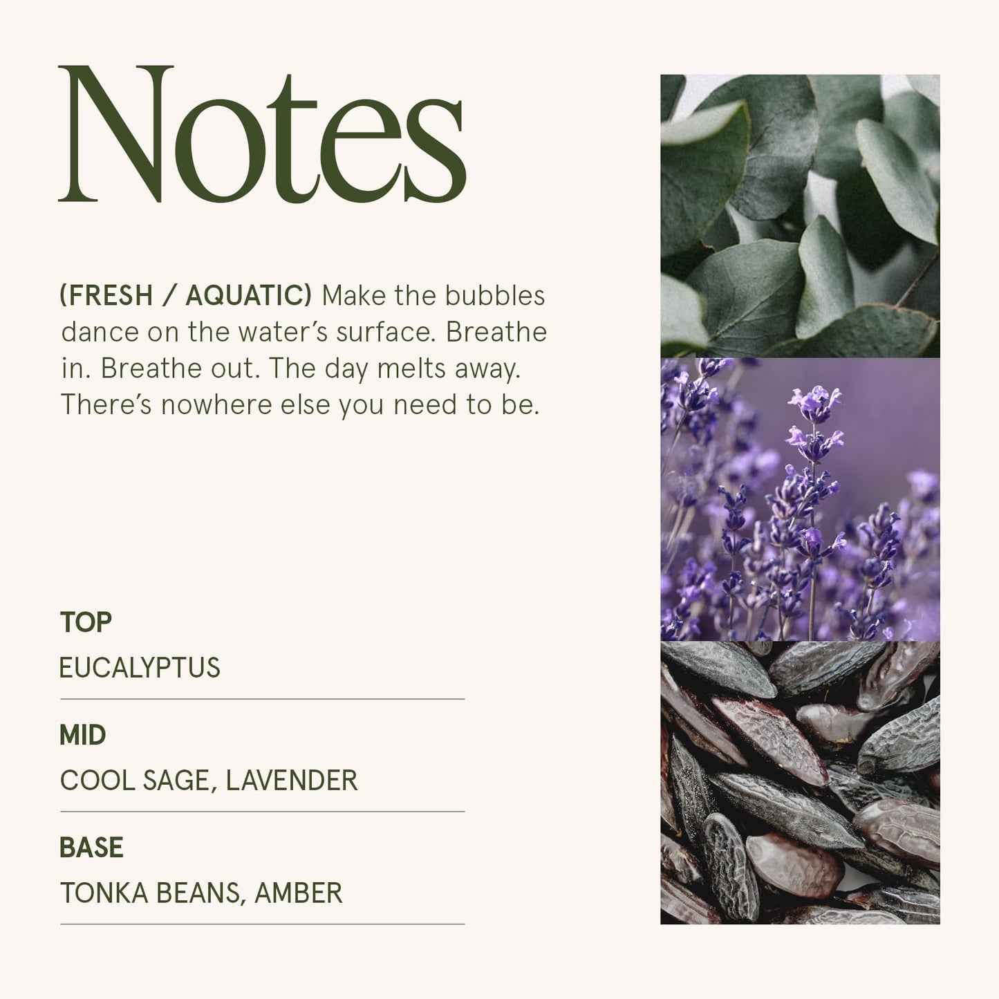 LA JOLIE MUSE Eucalyptus & Alpine Sage | Eucalyptus, Lavender & Sage Candle for Home Cleansing | 19 oz Wooden Wick | Natural Soy Wax | 90 Hours Burn | Candle for Relaxation