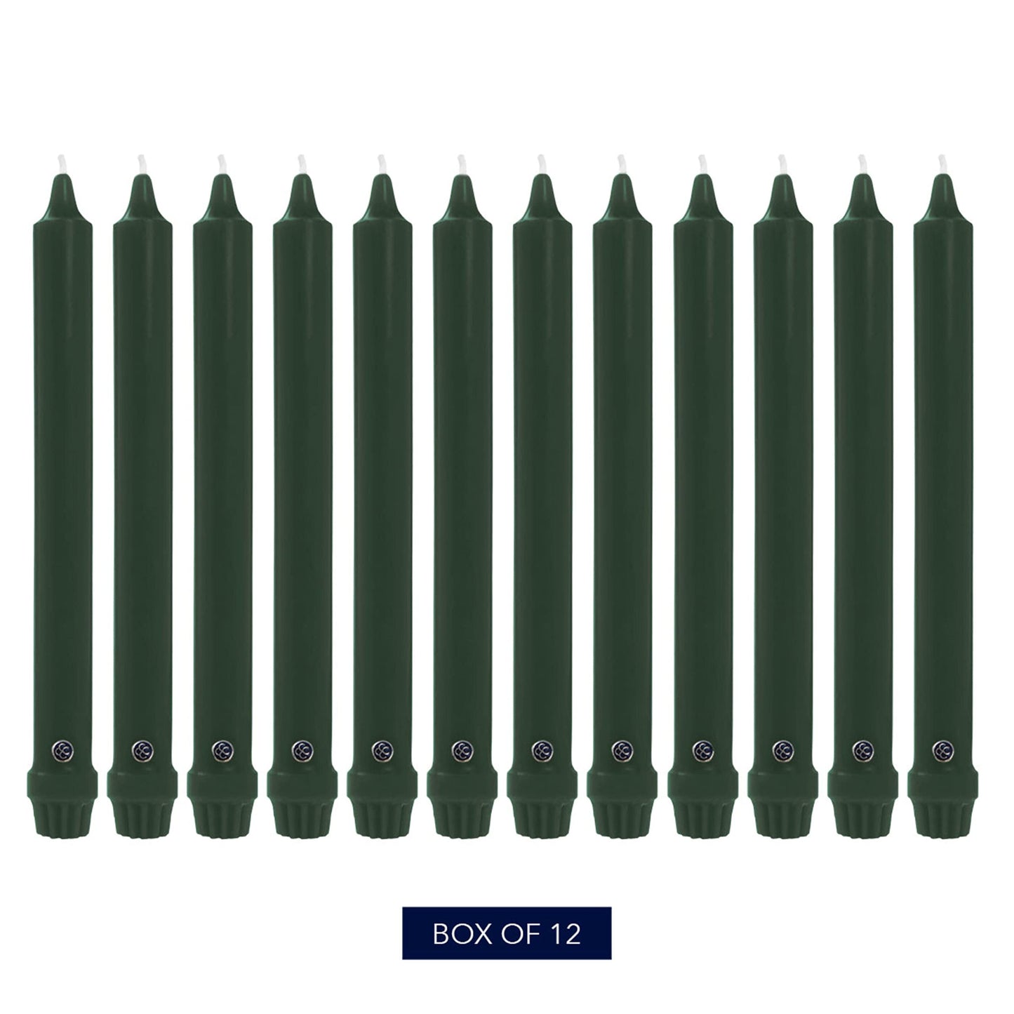 Colonial Candle Unscented Taper Candle, Classic Collection, Evergreen, 8 In, Pack of 12 - Up to 6 Hours Burn