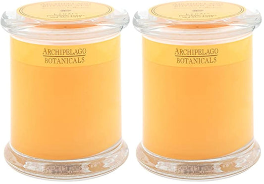 Archipelago Botanicals Lanai Glass Jar Candle, Pineapple, Mandarin and Ginger Scent, Lead-Free Candle Wicks, Burns Approx. 60 Hours (8.6 oz) (Pack of 2)