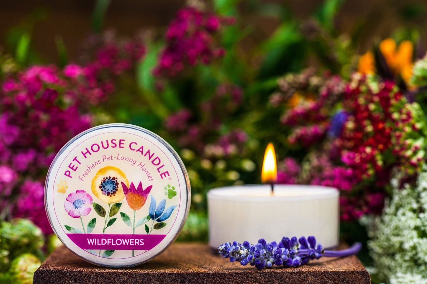Pet House Mini Candles for Pet Odor Made with Natural Soy Wax, Plant Based, Dog and Cat Friendly Scented Candles, Fresh Citrus Pack of 3