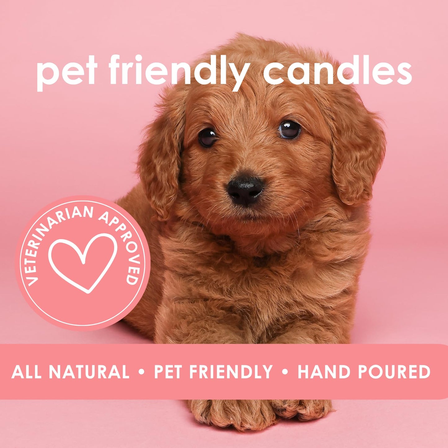 Pet Safe Candle for Dogs | Non Toxic Coconut Apricot Wax Candle | Clean Burning, Paraffin-Free | Pet Odor Eliminating Home Fragrance | Falling Leaves | 4 oz