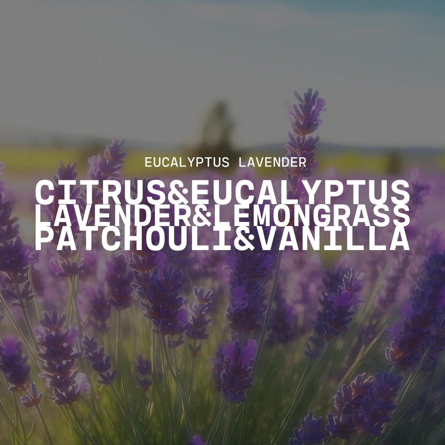 Milkhouse Candle Company Eucalyptus Lavender Soy Candle - Lavender | Eucalyptus | Soft Spice Scented - 22 oz Butter Jar with Lid, 120+ Hour Burn Time, Made in the USA