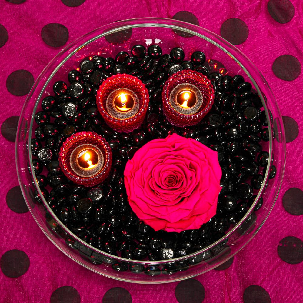 Set of 12 Richland Votive Candles Black Unscented and 12 Clear Glass Eastland Votive Holders