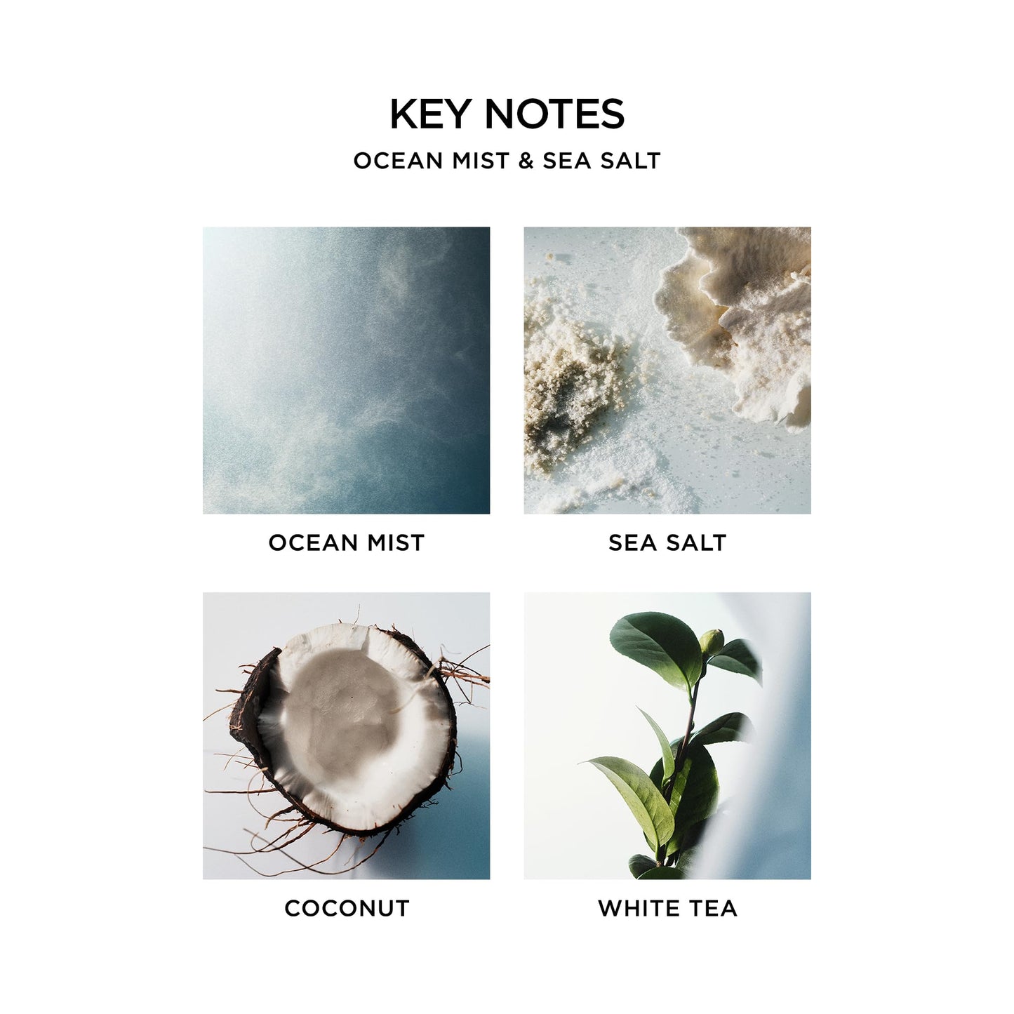 NEST New York Scented 3-Wick Candle, Ocean Mist & Sea Salt - 21.2 oz, Pack of 2 - Up to 100-Hour Burn Time - Reusable Glass Vessel