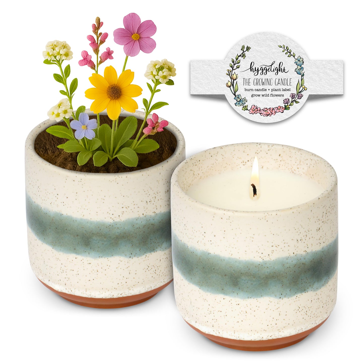 The Growing Candle, Unscented Fragrance Free Candles, 8.5oz Ceramic Pot, 100% Soy, Edith