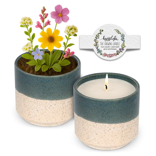 Hyggelight - The Growing Candle, Rosemary & Sage Scent, 8.5oz Ceramic Pot, Single Wick Aromatherapy Candles, 100% Soy for Women and Men, Willow