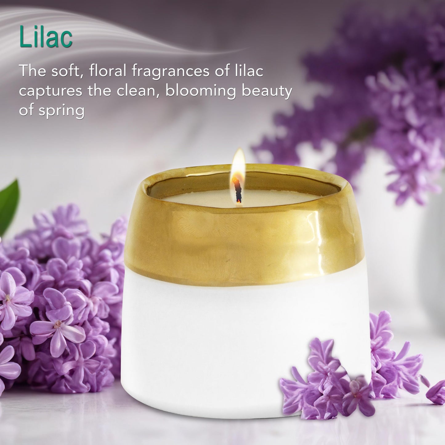 Hyggelight - The Growing Candle, Rosemary & Sage Scent, 10oz Ceramic Pot, Single Wick Aromatherapy Candles, 100% Soy for Women and Men, Clara