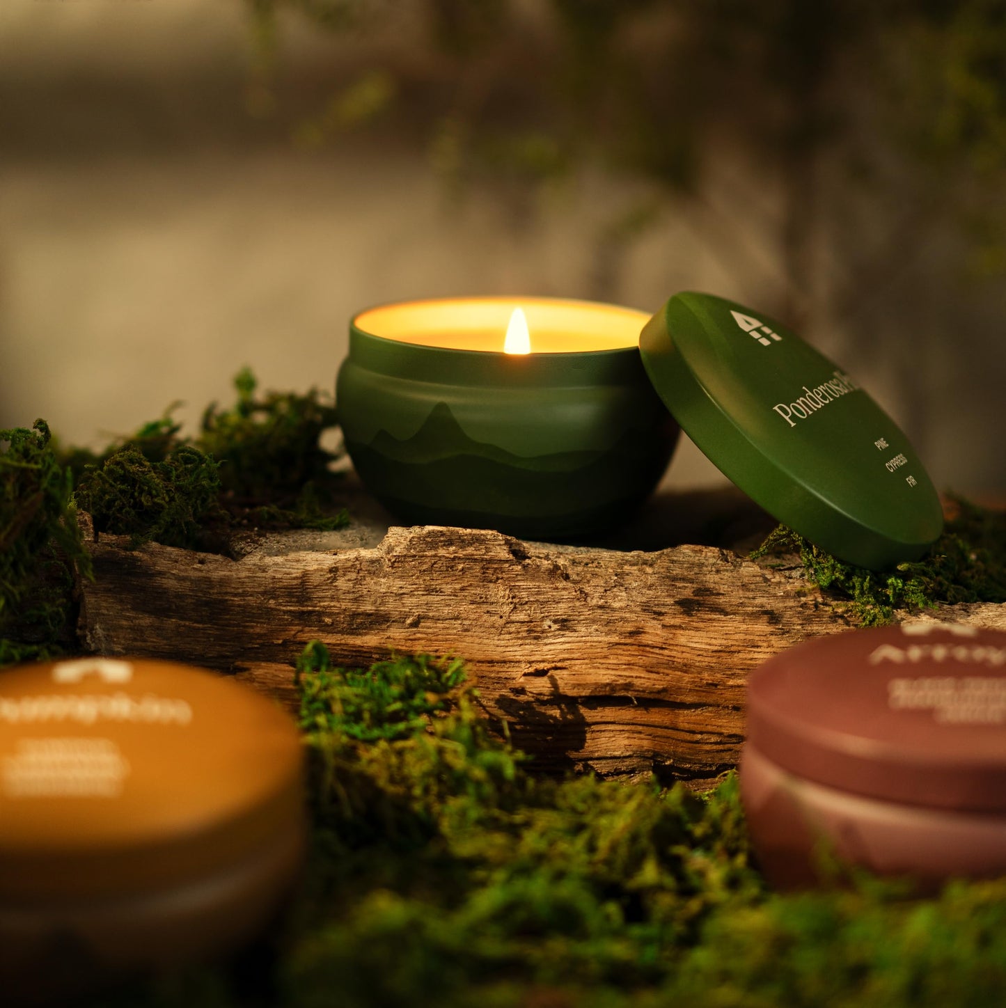 Bluecorn Aromática Scented Candle Tin, The Woodsy, Blue Spruce, Pine & Musk, Vegan Coconut Wax, Clean Burning & Long Lasting Christmas Tree Candle, Winter Home Decor, Gifts, Made in USA, 8 Oz