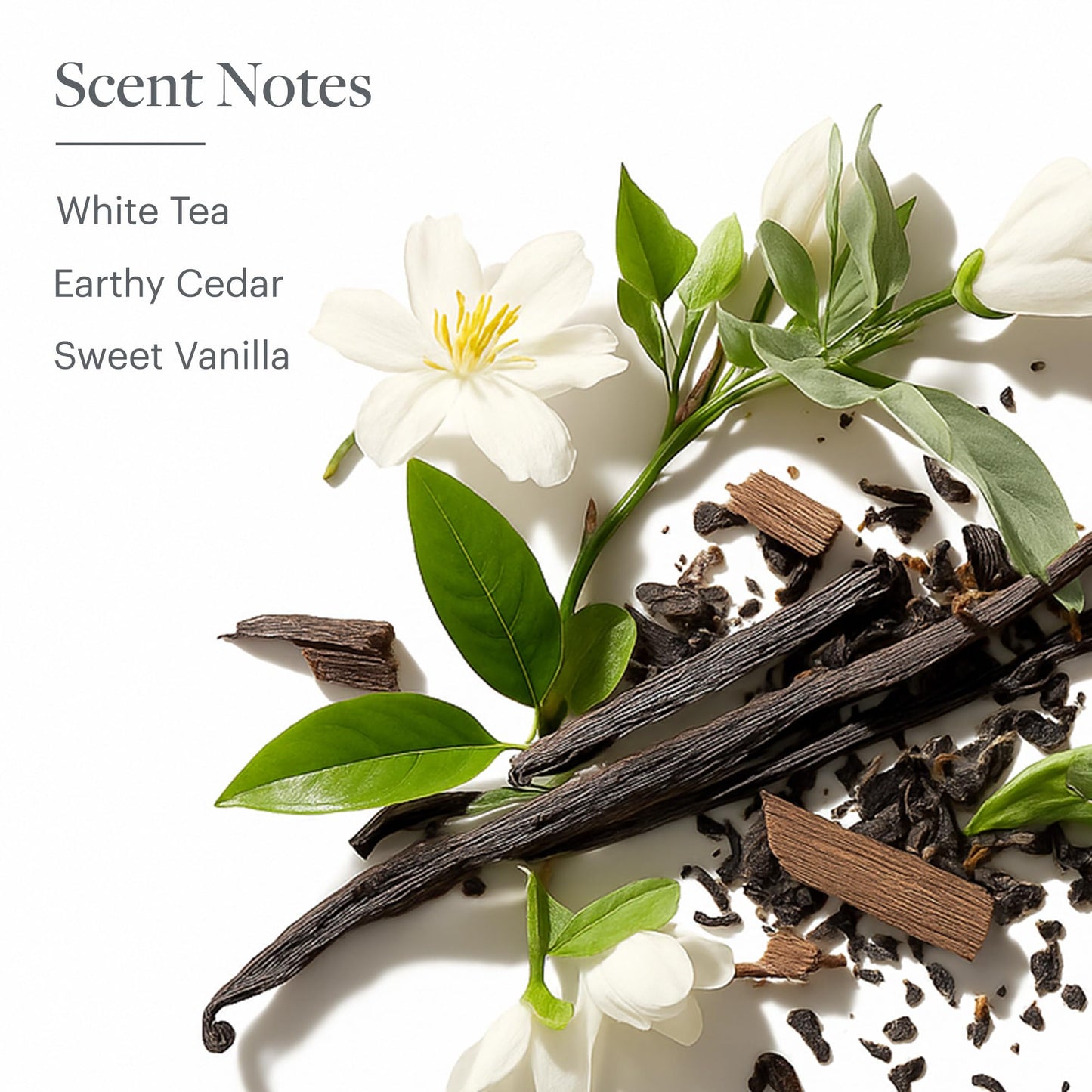 Westin White Tea Candle in a Tin - Hand-Poured, Soy Candle in Tin - Signature White Tea Scent - 4 oz. - Set of 3