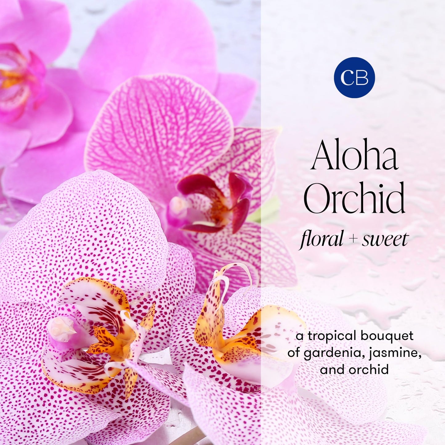 Capri Blue Modern Marble Jar Candles - Luxury Candles for Home Scented - Long Lasting Soy Wax Blend - (Aloha Orchid, 19 oz)