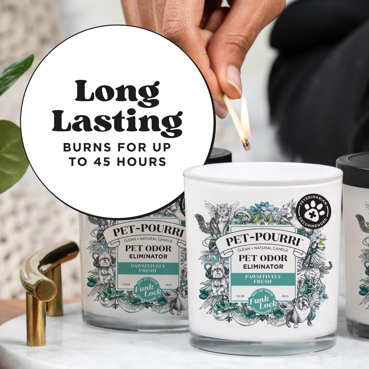 Pet-Pourri Pawsitively Fresh Pet Odor Deodorizer Candle, Burns Up to 45 Hours, Aromatherapy & Air Freshener with Essential Oils, Plant Based Ingredients & Wax, Vet Approved, Jasmine Pear Scent