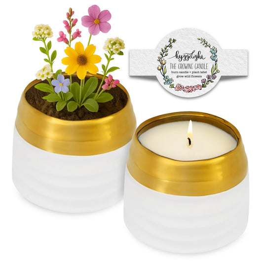 Hyggelight - The Growing Candle, Rosemary & Sage Scent, 10oz Ceramic Pot, Single Wick Aromatherapy Candles, 100% Soy for Women and Men, Clara