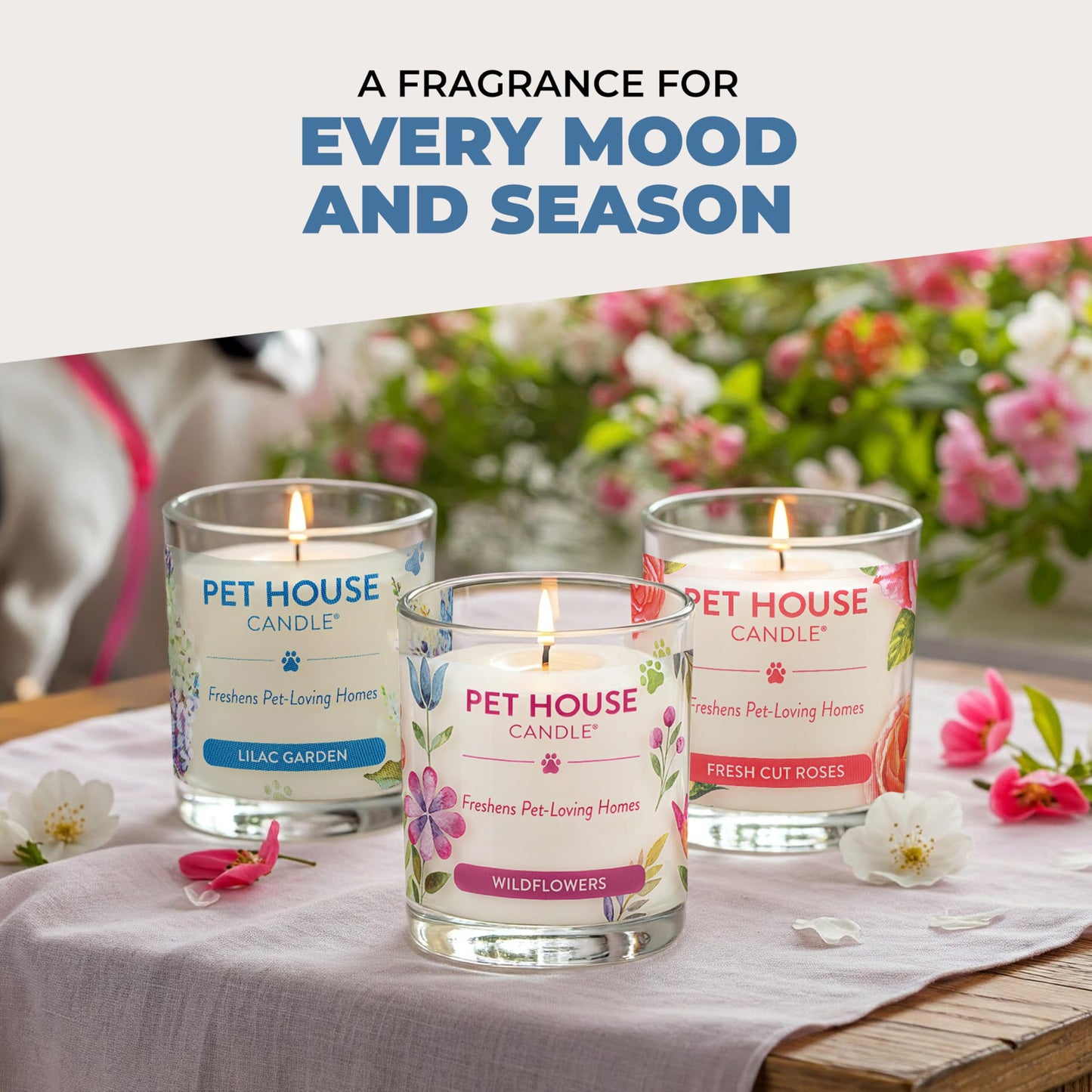 Pet House Candles, Plant-Based Long Lasting, Clean Burning Scented Pet Odor Candles, 60 Hour Burn Time - Wildflowers, 9 oz