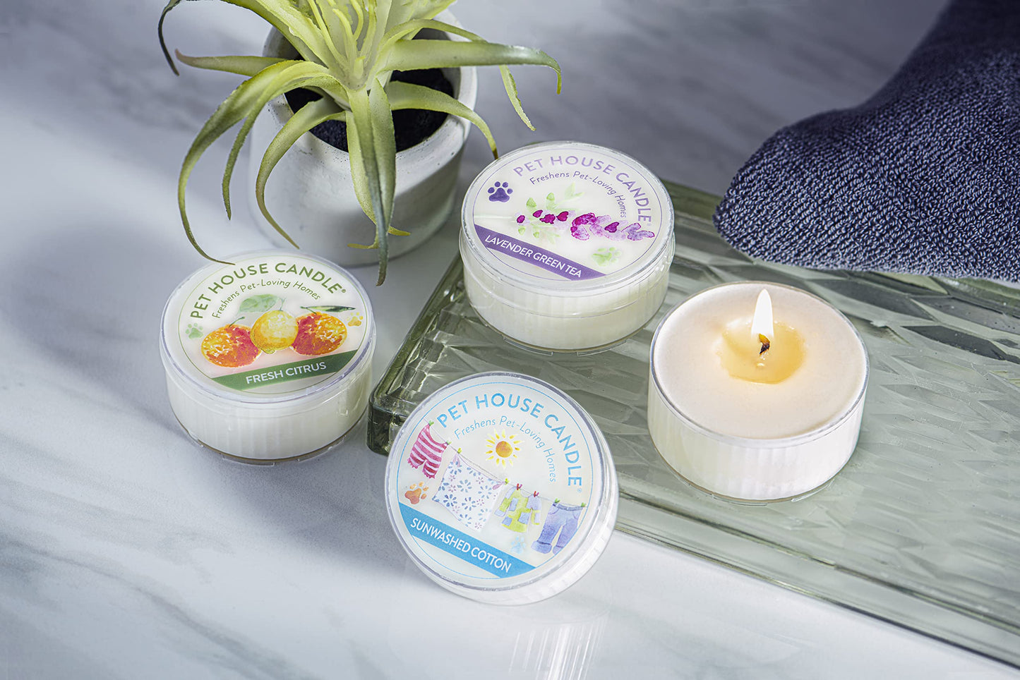 Pet House Mini Candles for Pet Odor Made with Natural Soy Wax, Plant Based, Dog and Cat Friendly Scented, Sunwashed Cotton Pack of 3
