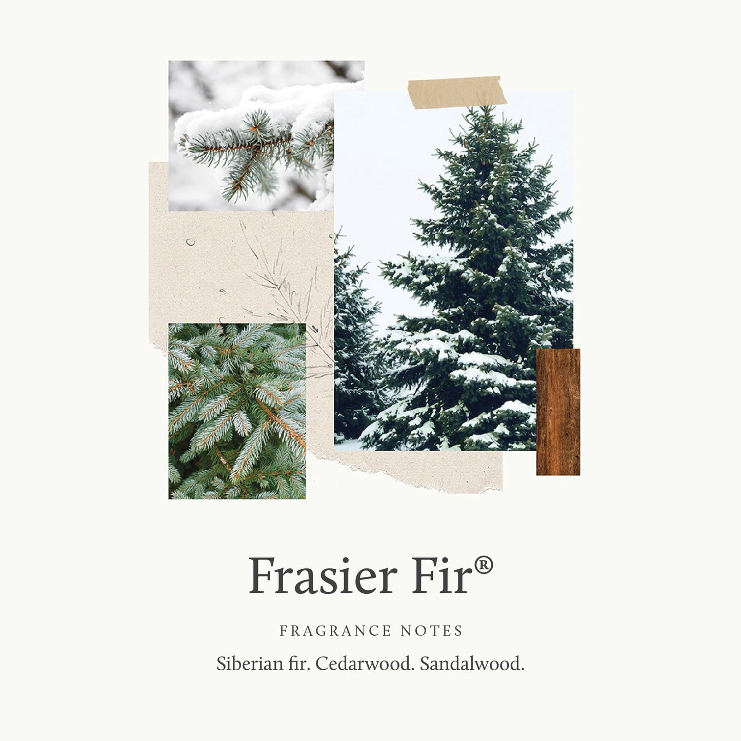 Thymes Frasier Fir Hand Cream, Travel Tin Candle Jar and Bar Soap Gift Set - Scented with Notes of Siberian Fir, Cedarwood, and Sandalwood - Luxury Home Fragrance Set - Hostess Gift for the Holidays