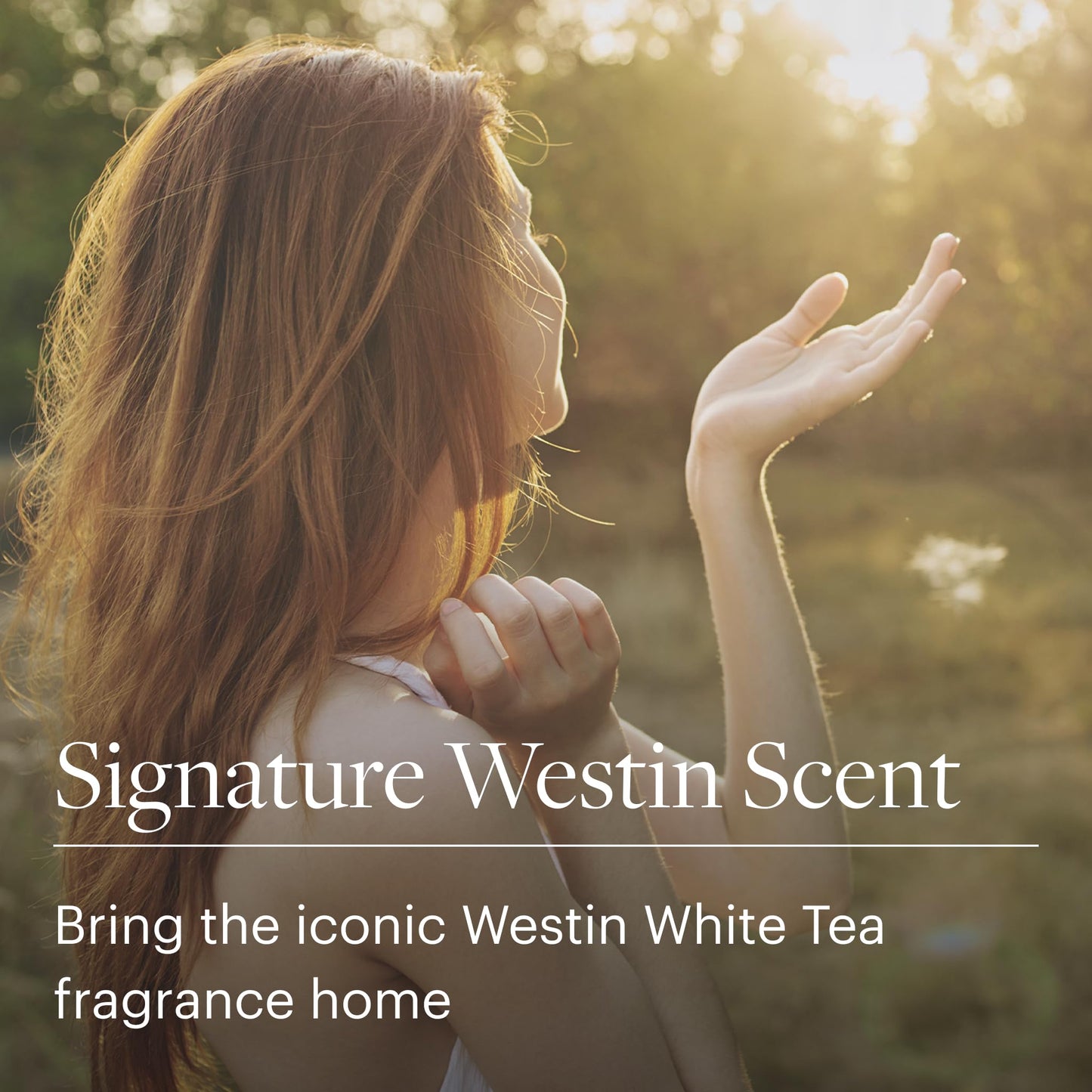 Westin White Tea Candle in a Tin - Hand-Poured, Soy Candle in Tin - Signature White Tea Scent - 4 oz. - Set of 3