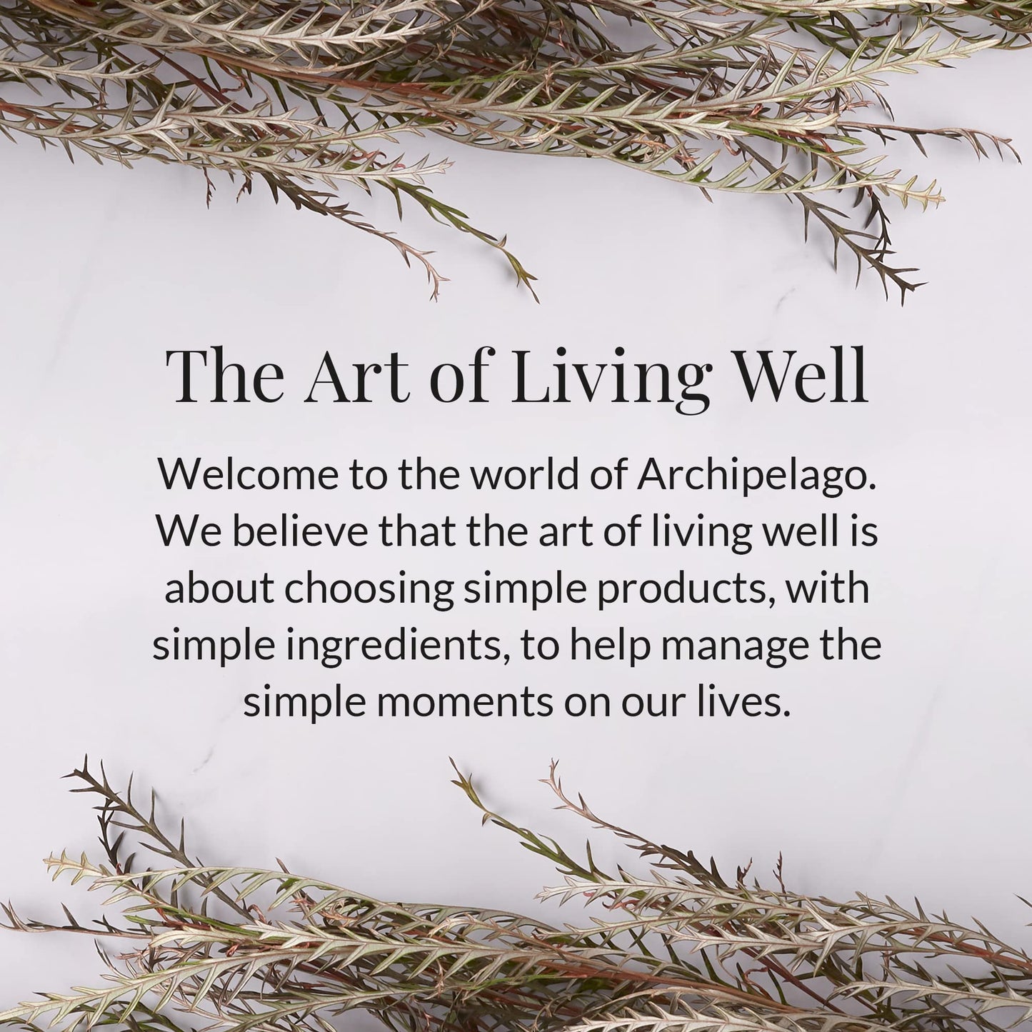 Archipelago Botanicals Stonehenge Glass Jar Candle, Cedarwood, Citrus Bergamot and Amber Scent, Lead-Free Candle Wicks, Burns Approx. 60 Hours (8.6 oz)