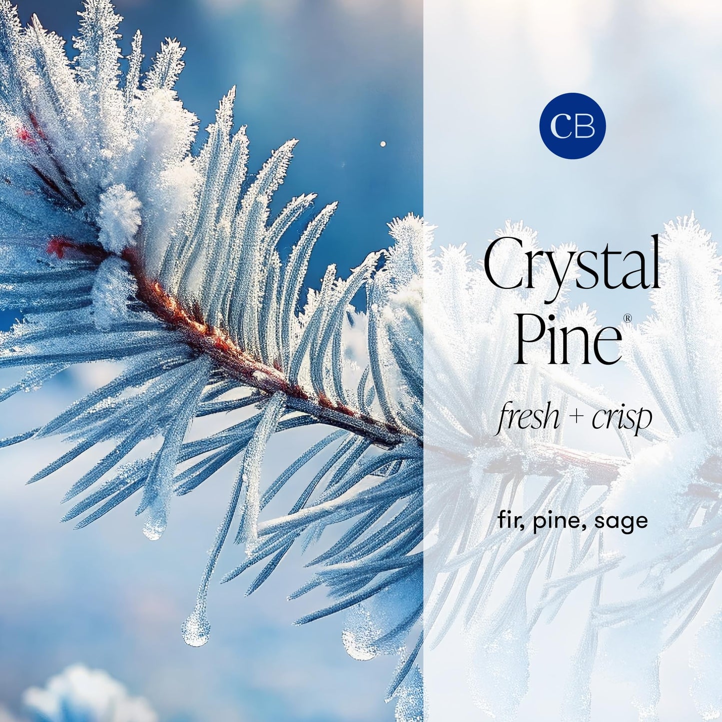 Capri Blue Pattern Play Signature Holiday Candle - Luxury Holiday Scented Candle for Home- Long Lasting Soy Wax Blend - Comes in Decorative Glass Jar (Crystal Pine, 19 oz)