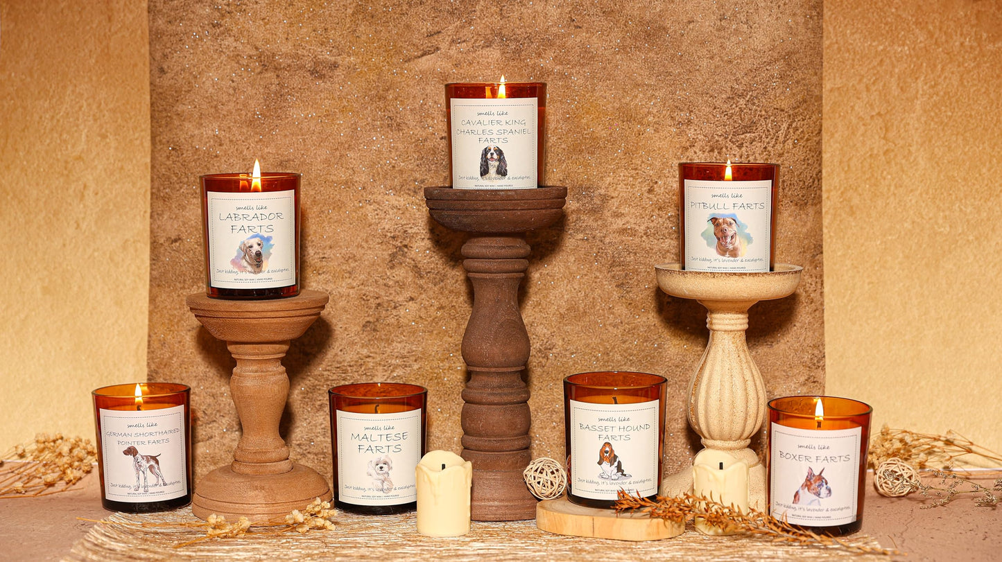 Basset Hound Gifts, Basset Hound Decor, Dog Mom Gifts, Dog Farts Candle - Lavender & Eucalyptus, Crafted by Natural Soy Wax & Natural Essential Oils