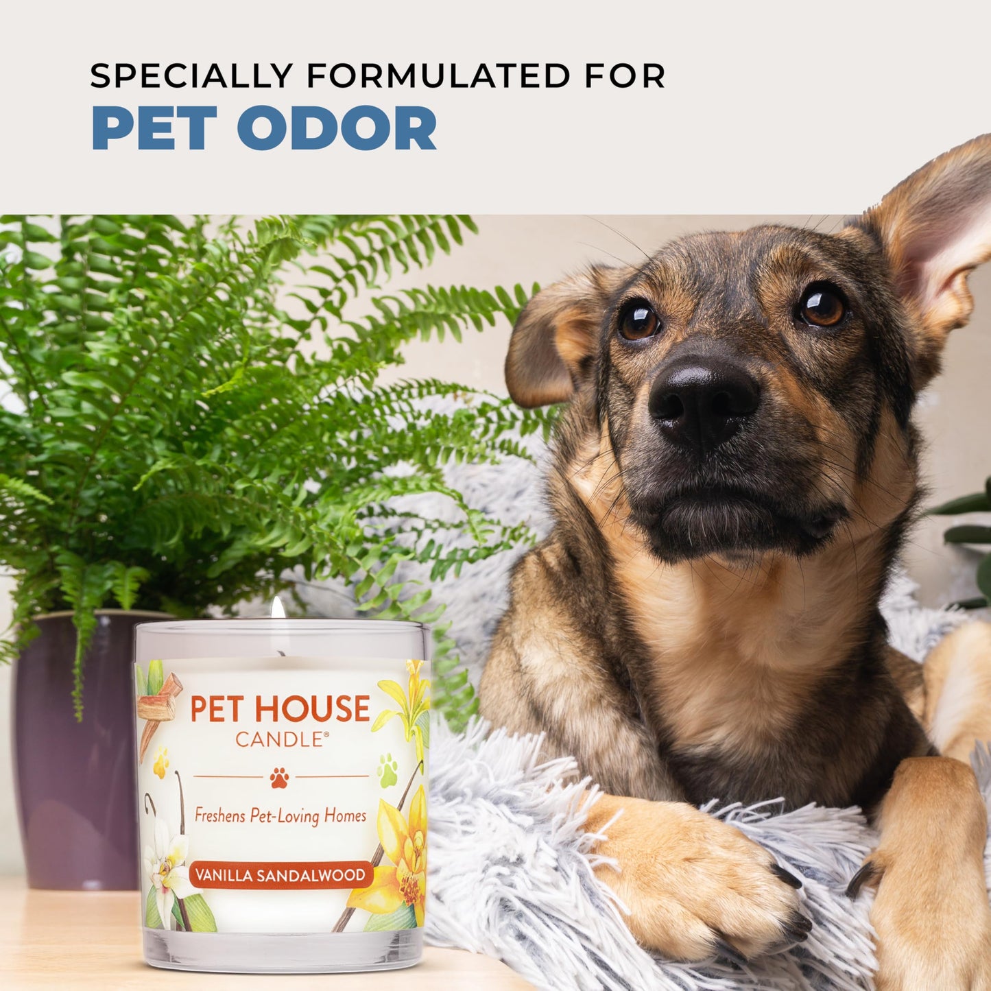 Pet House Candles, Plant-Based Long Lasting, Clean Burning Scented Pet Odor Candles, 60 Hour Burn Time - Wildflowers, 9 oz