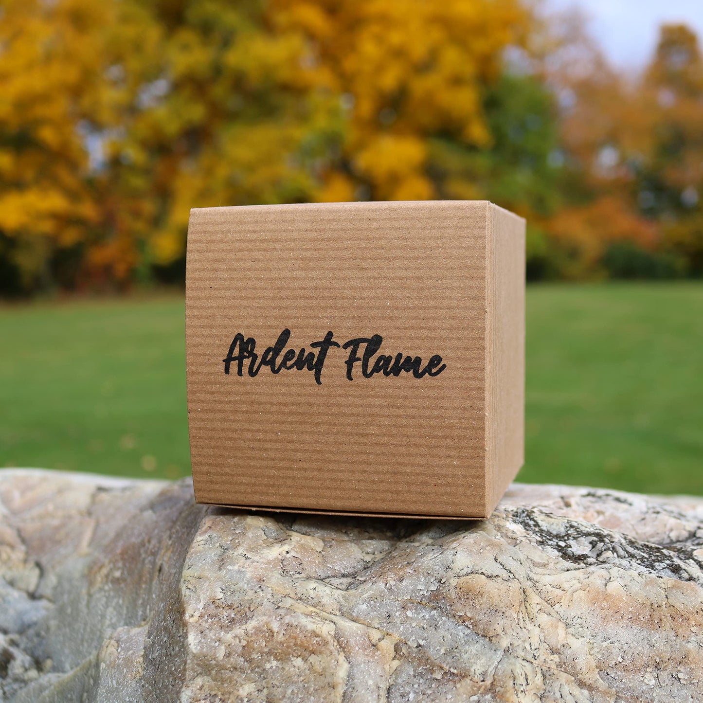Ardent Flame Candles | Pumpkin Butterscotch | 100% Natural Soy Wax Candle for Home Decor | Highly Scented | Premium Fragrance | Handmade in Vermont, USA | 8 oz | Long Lasting | Gift for Women and Men