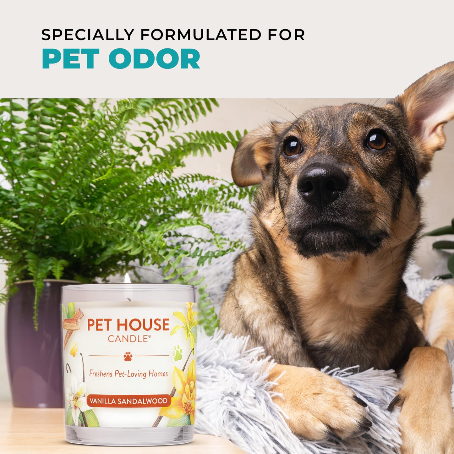Pet House Scented Candles, 100% Plant-Based, Long Lasting Candle with a 60 Hour Burn Time, Made for Pet Odors - Mediterranean Sea